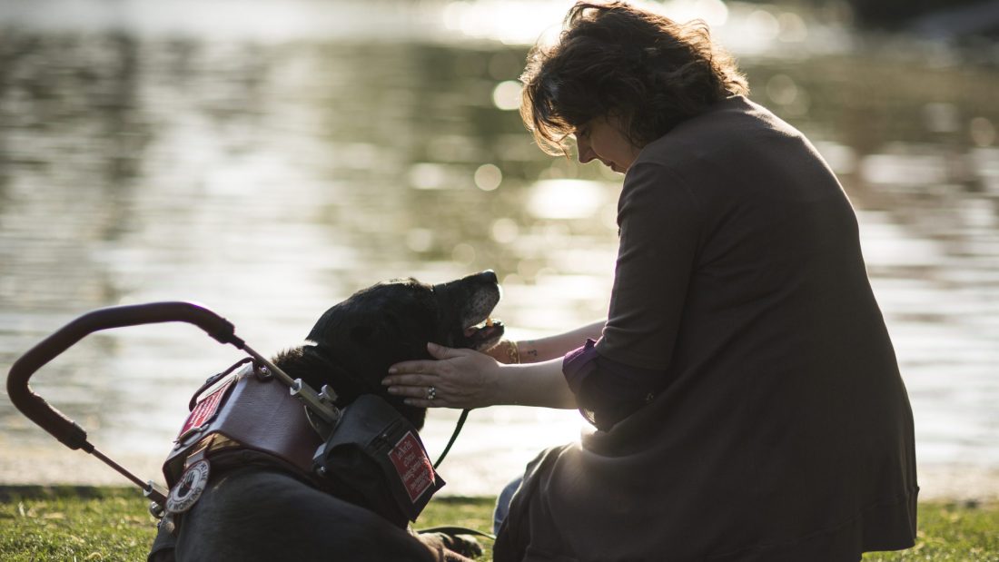 A service dog and a woman exchange a loving look